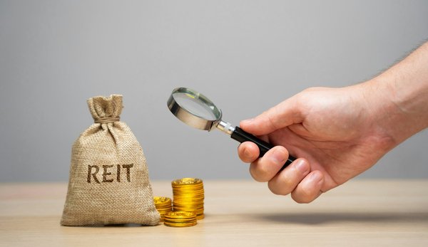 Investir en pierre papier : découvrez le guide investissement